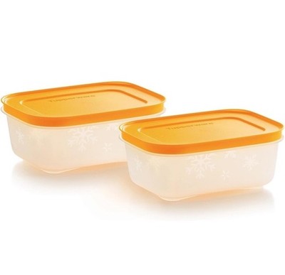 2x Tupperware Gefrierkameraden kleiner flacher Behälter Set Kunststoff - 2x450ml blickdicht