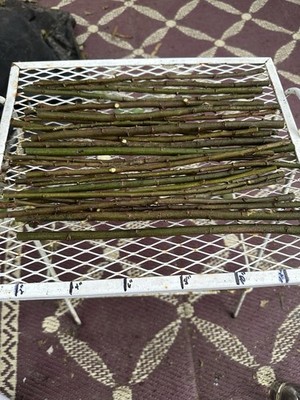 25+ Natural 12  Willow Wood Craft Twigs