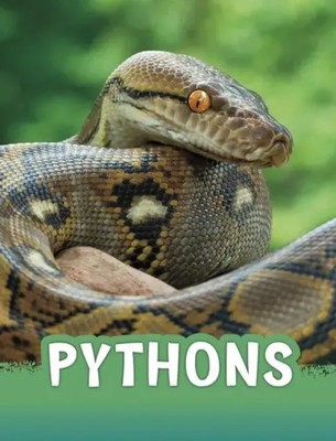 Martha E. H. Rustad | Pythons | Taschenbuch | Englisch (2021) | Animals