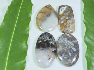 188Cts. Natürlicher Türkischer Stabachat Mix Cabochon Lose Gemtone 4 Stück Lot
