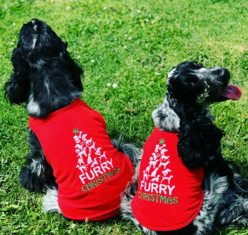 Cocker spaniel costume sales