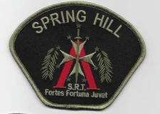 SWAT SRT NEW Spring Hill Police State Tennessee TN Subdued