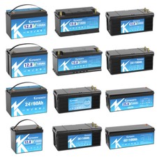 LiFePO4 12V 100Ah 200Ah 300Ah Lithium Battery BMS Deep Cycle 15000 Deep Cycles