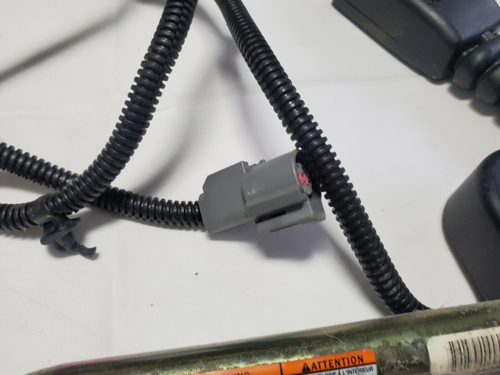 2004 - 2006 Ford Ranger Drivers & Passengers Front Seat Belt Buckles (OEM) 