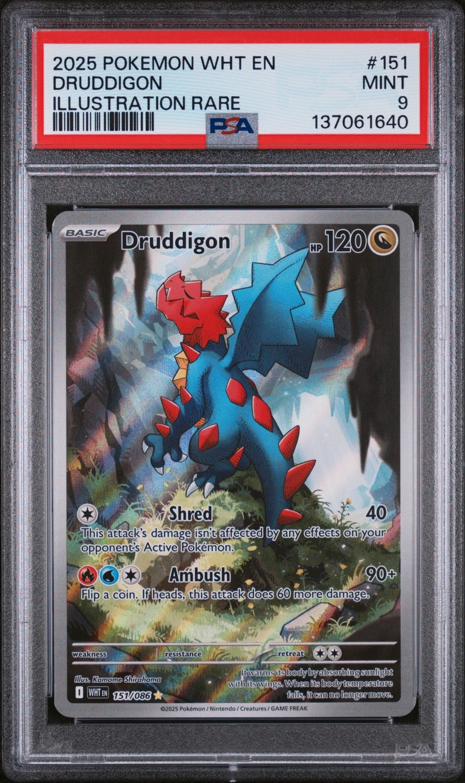 DRUDDIGON #151 ILLUSTRATION RARE 2025 POKEMON WHT EN WHITE FLARE PSA 9 MINT