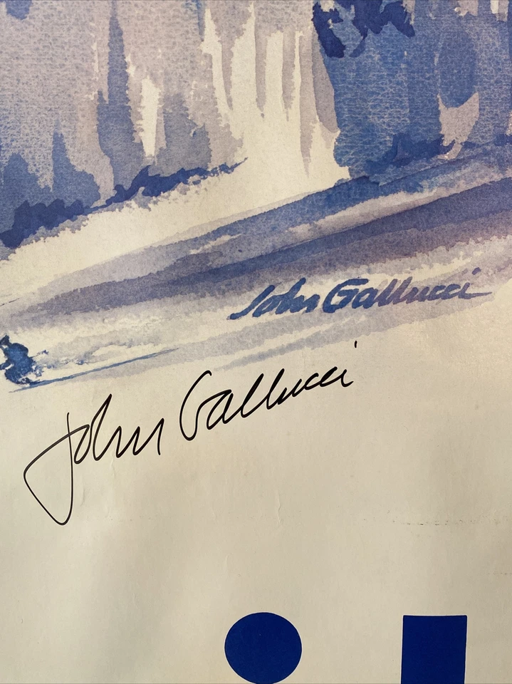 1980 XIII Olympic Winter Games Lake Placid Signed JOHN GALLUCCI Original Poster - Image 2 of 4