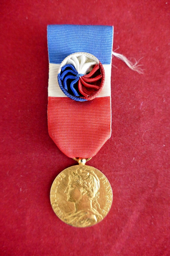 POLYNÉSIE FRANÇAISE - Océanie française Insigne de fonction, Assemblée