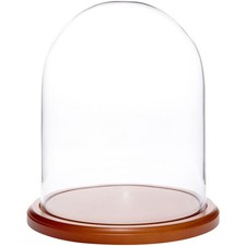 Plymor 8" x 10.25" Glass Display Dome Cloche (Walnut MDF Base)