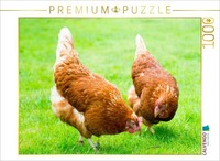 Calvendo Puzzle Two Happy Chickens | 1000 Pieces, Finished Size 25.2 × 18.9 In (