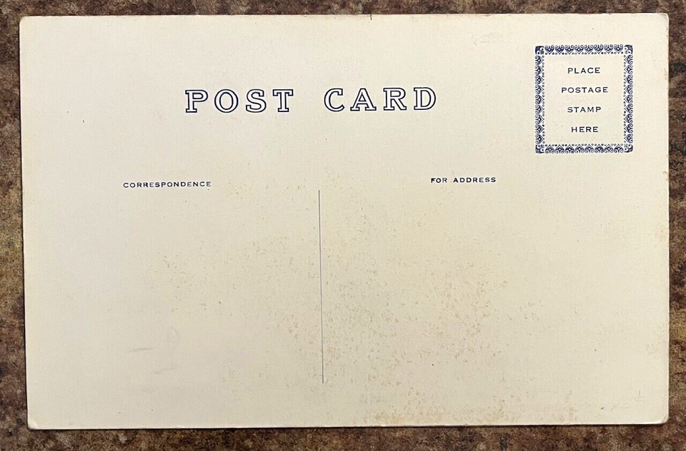 North Carolina Quaker Meadows NC Postcard “Council Oak” Unposted Burke