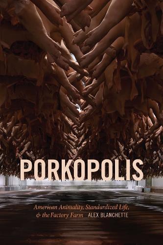 Thumbnail - Alex Blanchette Porkopolis (taschenbuch)