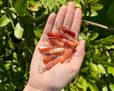 Carnelian Wire Wrapped Point Pendant / Necklace Carnelian Point Jewelry