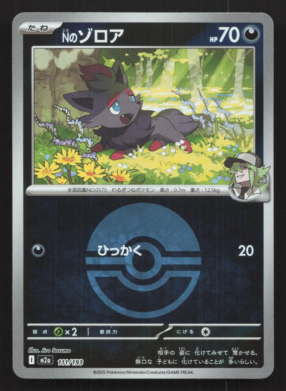 N's Zorua 111/193 MEGA Dream ex NM Japanese Pokemon Card TCG