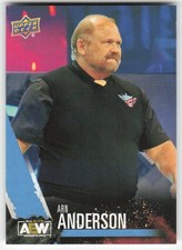 2021 Upper Deck AEW Arn Anderson #71
