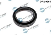 NEU - Dr.Motor Automotive DRM0261 Dichtung, DüSenhalter FüR Mazda