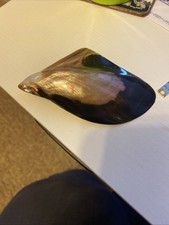 Natural Shell scarf ring