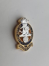 Princess Of Wales Royal Regiment Lapel Pin Badge Military Memorabilia 🇬🇧 