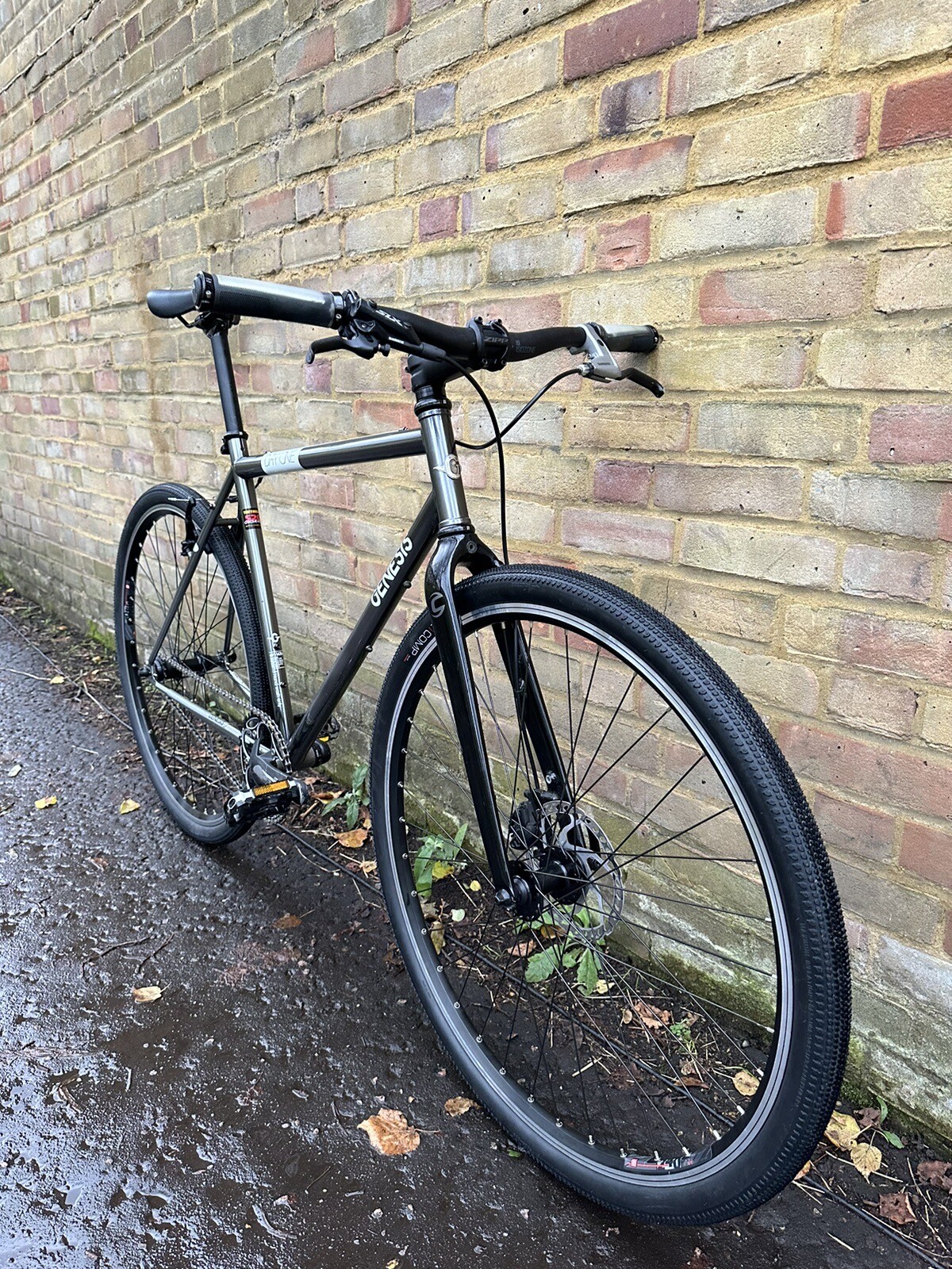 Genesis DayOne Custom Built Single Speed Bike eBay