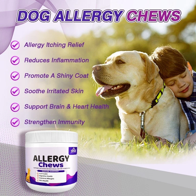 Dog Allergy Relief-Itching Skin Relief- Dog Probiotics for Itchy Skin and Ears - Image 2 of 4