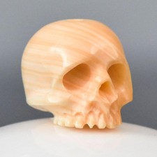 Perle Tête de Mort Humain 11,79 mm Coquillage Abricot Sculptée Fait Main