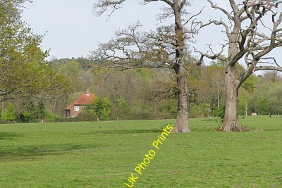 Foto 6x4 Felder bei Albury Mill Chilworth\/TQ0247 Die Felder bei Albur c2016