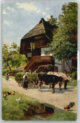 51140896 - Gruenfutter Einfuhr , Schwarzwald  Hoffmann, H.