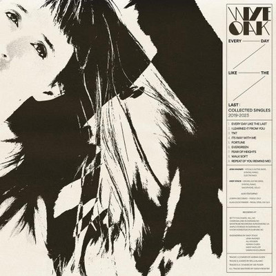 WYE OAK: EVERY DAY LIKE THE LAST- COLLECTED SINGLES 2019 - 2023 - LP vinyl