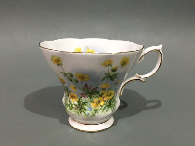 Royal Albert Sunnyside Serie Susan Teetasse