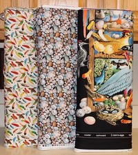 Birdwatching Eggs Feathers Fabrics by Elizabeth's Studio SOLD SEPARATELY