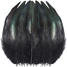 200 Pcs Black Rooster Tail Feathers 5-7" Bulk for Crafts, Costumes Decor