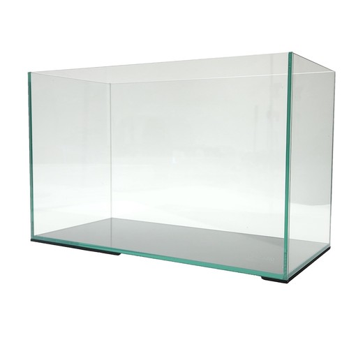 ADA pollen Glass Beetle 30ø | eBay