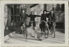 PHOTO ANCIENNE - VINTAGE SNAPSHOT - VÉLO BICYCLETTE GROUPE ANIMAL