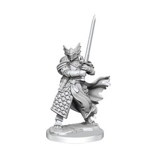 WizKids D D Mini 28mm Dragonborn Paladin New