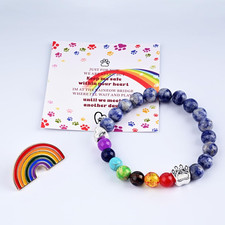 Pet Memorial Gifts,Rainbow Bridge Bracelet for Beloved Pets,Cat Memorial Gifts f