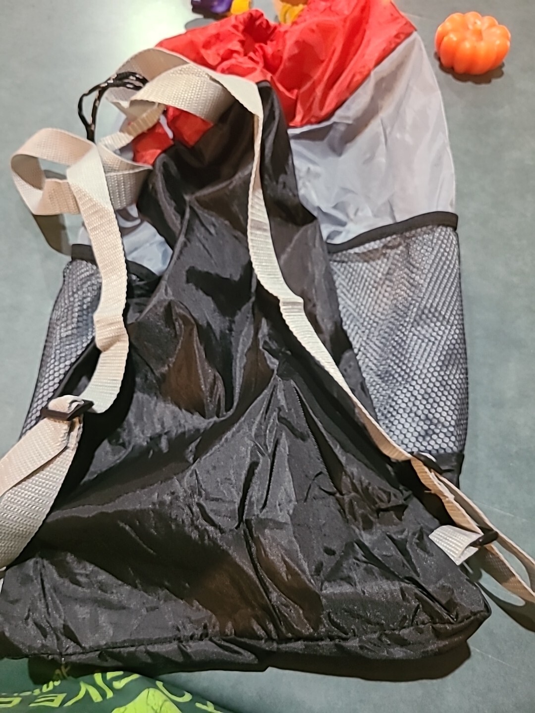 Phillips 66 Backpack Carrier - image 4