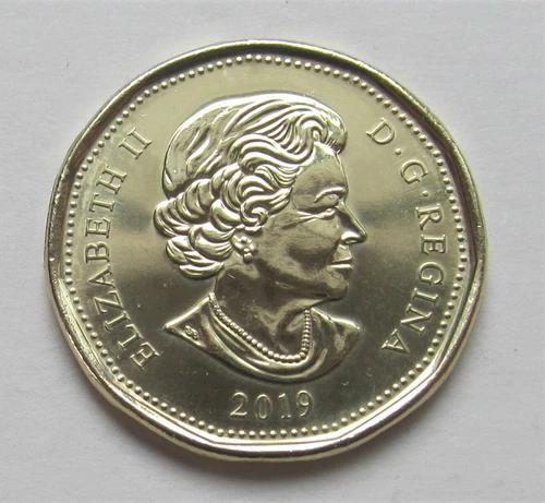 2019 CANADA 1 DOLLAR LOONIE - combined shipping