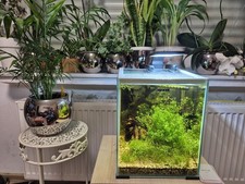 AQUAEL Shrimp Set LED 20L Day&Night Garnelenbecken Aquarium Garnelen 25x25x30cm