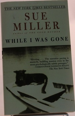 While I Was Gone