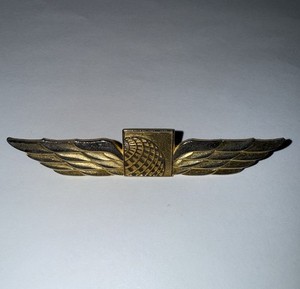 Continental Airlines Flight Attendant Gold toned Wings