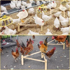 Chicken Perch for Coop & Brooder, Pine Wooden Chicken Toys & Coop Accessories...