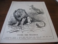 1921 Original POLITICAL CARTOON - AUSTRALIAN CRICKET Wins w SMOKING KANGAROO