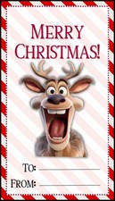 Holiday Reindeer Sticker Labels 6 Card Gift Craft Paper DIY Scrapbook Journal