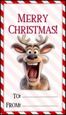 Holiday Reindeer Sticker Labels (6) Card Gift Craft Paper DIY Scrapbook Journal