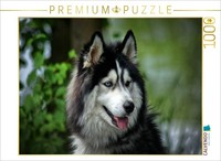 Calvendo Puzzle Husky | 1000 Pieces, Finished Size 25.2 × 18.9 In (64 × 48 Cm) |