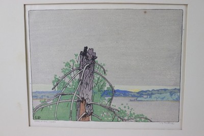 Original Canadian artist Walter Joseph Phillips woodcut Lake of the woods signed