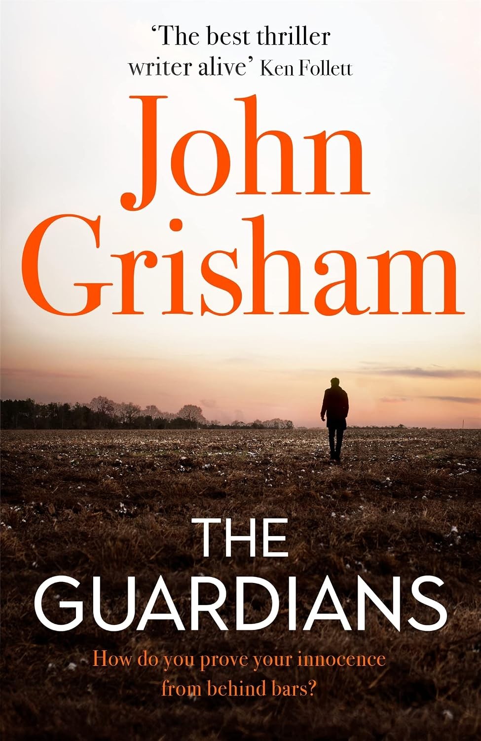 The Guardians: The explosive new thriller from international bestseller John Gr - Image 2