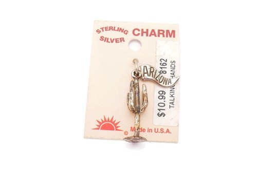 Vintage Sterling Silver 925 Arizona Cactus Charm - Afbeelding 1 van 11