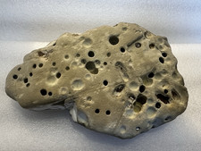 Hag Stone Holey Rock Beach Art Ocean Decor 1.75lbs 6”x4”