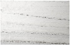 Native Trails DS80 Americana Finish Sample - White