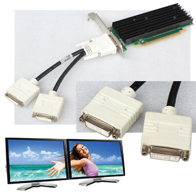 256MB Dual Head 2xDVI Graphic Card Nvidia Quadro NVS290 Pcie Windows XP ...